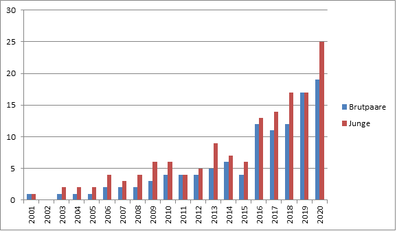 Bestandsentwicklung brütender Seeadlerpaare in Bayern 2001-2020