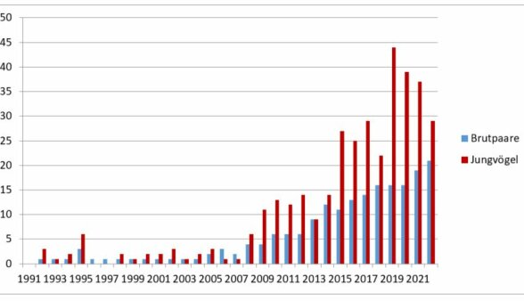 Fischadler Bestandsentwicklung Bayern 1992 – 2022