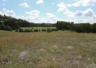 Naturschutzgebiet Wald- und Heidelandschaften