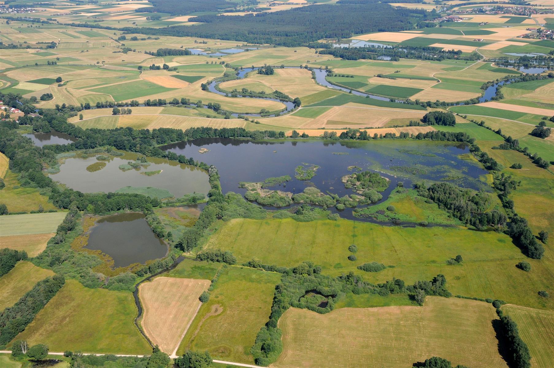 Rötelsee-Weihergebiet mit Mäanderschleifen des Regenflusses Rötelsee-Weihergebiet mit Mäanderschleifen des Regenflusses © Peter Zach