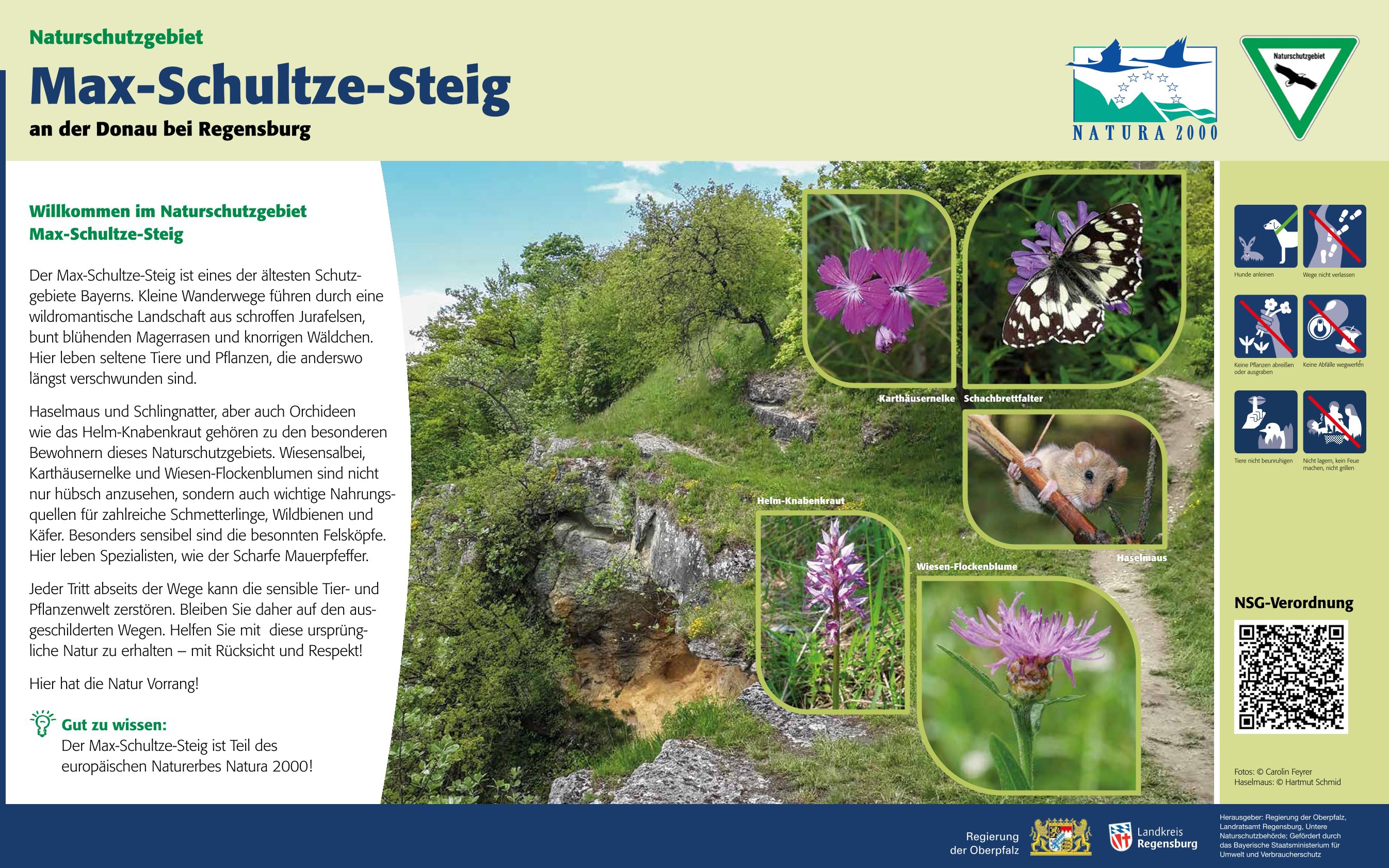 Infotafel Max-Schultze-Steig