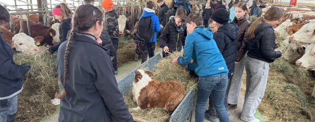 Kinder freuen sich über den Besuch am Bauernhof und helfen fleißig bei der Fütterung der Rinder mit.